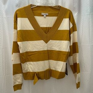 Eva Mendes New York & Company Sweater